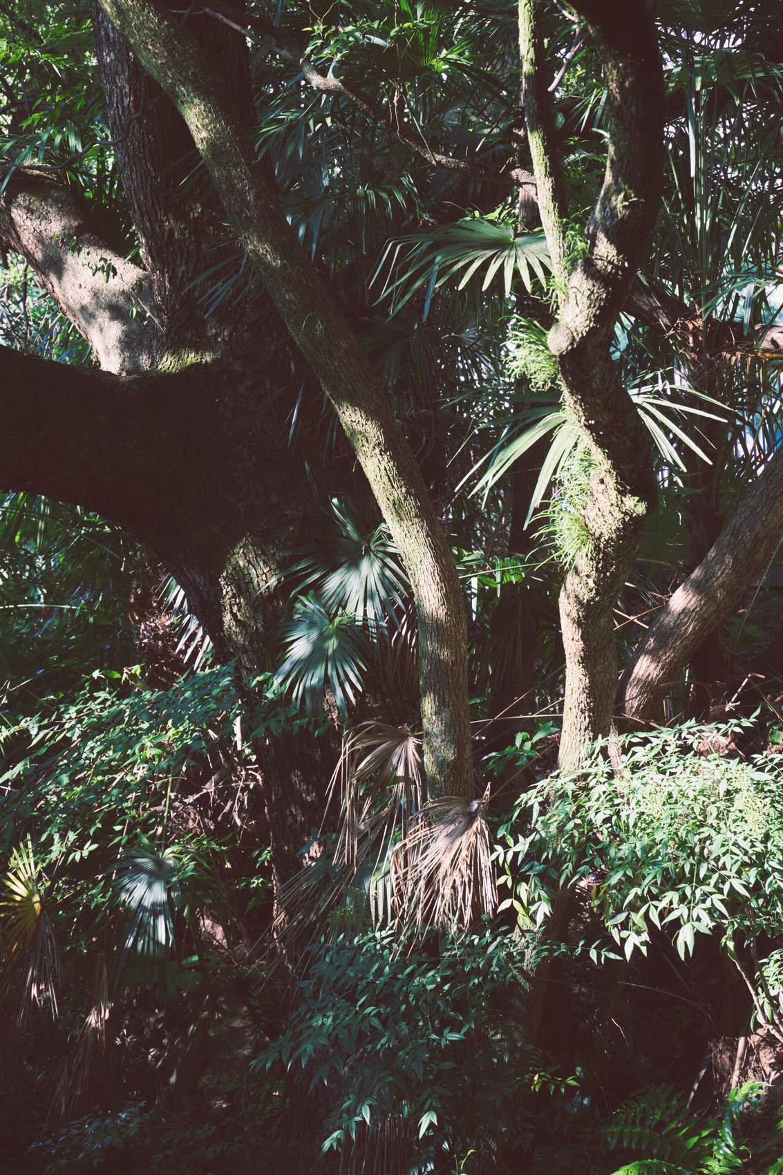 写真家 有光（Yuki Arimitsu）個展「Temporary Things」（2023）展示作品 03
