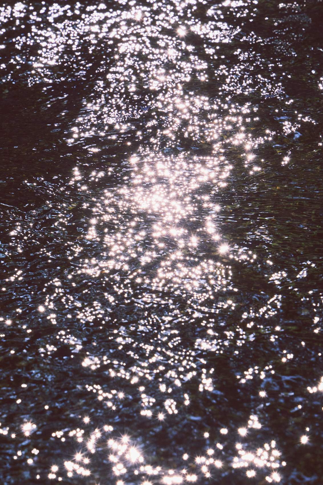 写真家 有光（Yuki Arimitsu）個展「Temporary Things」（2023）展示作品 04