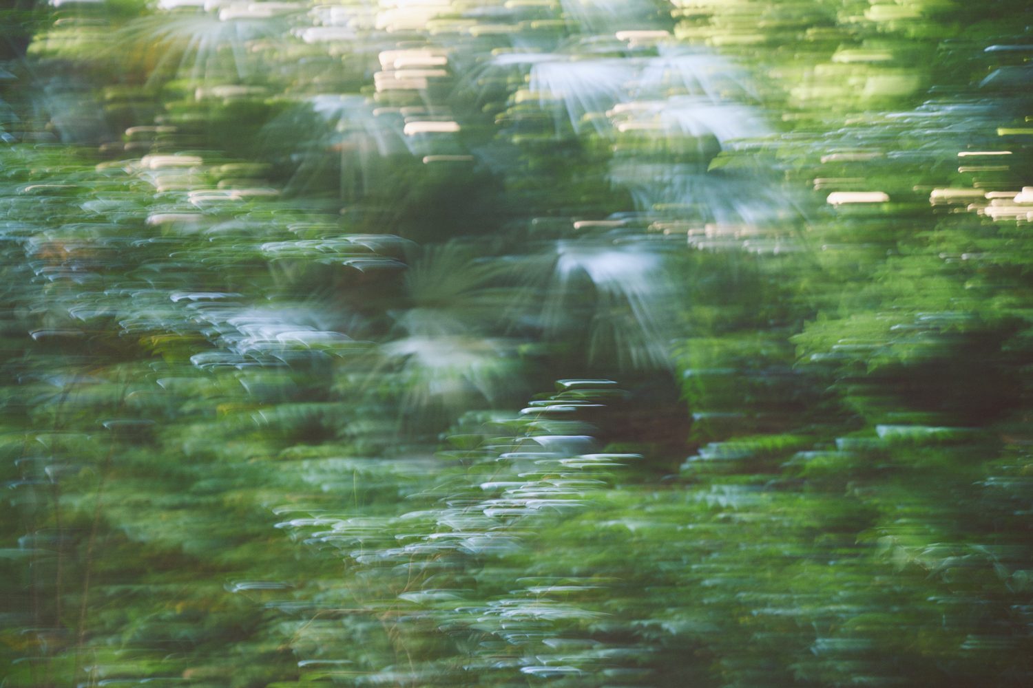 写真家 有光（Yuki Arimitsu）個展「Temporary Things」（2023）展示作品 07