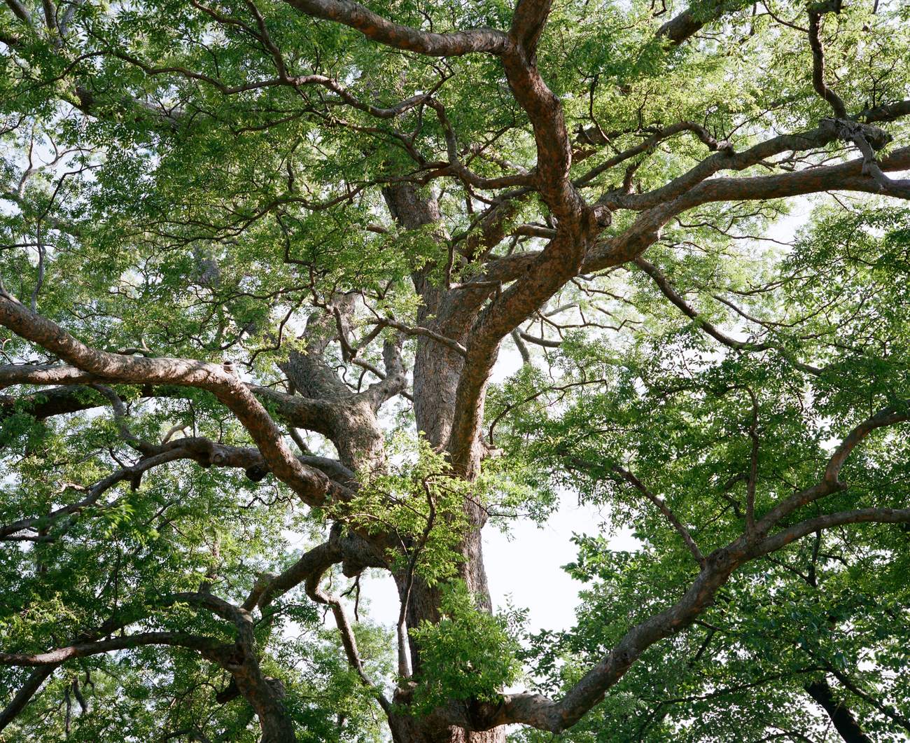 写真家 有光（Yuki Arimitsu）個展「Temporary Things」（2023）展示作品 08