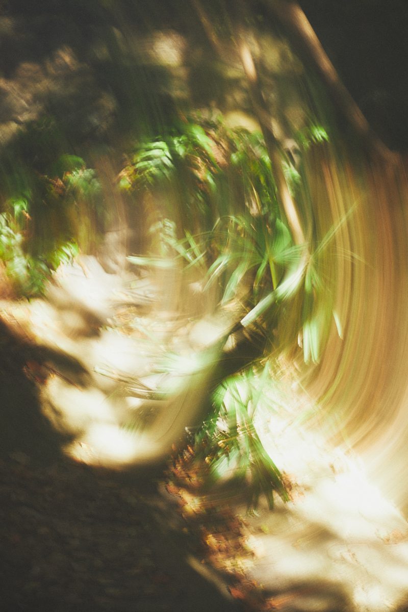 写真家 有光（Yuki Arimitsu）個展「Temporary Things」（2023）展示作品 15